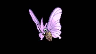 Pokemon Cries  049 Venomoth [upl. by Novhaj619]