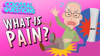 What Is Pain  COLOSSAL QUESTIONS [upl. by Kina670]