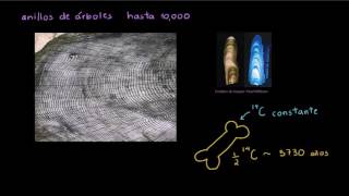 Datación por carbono 14 Parte 2  Biología  Khan Academy en Español [upl. by Emelen]