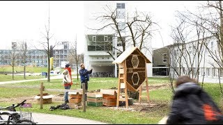 Felix Fornoff  Bienenhaus bauen  Uni Freiburg [upl. by Enitsahc]