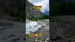 Naltar beauty or Grindland  grindland switzerland naltar naltarbeauty naltarroad lehladakh [upl. by Teuton]