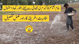 Raw Gypsum as Fertilizer before wheat sowing [upl. by Meldoh]