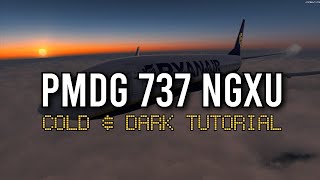 PMDG 737 Ngxu Cold amp Dark Tutorial [upl. by Anaiv]