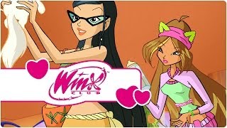 Winx Club  Season 4 Episode 5  Mitzis present clip1 [upl. by Yelad]