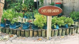 Container Herb Garden Tour Maldives [upl. by Yrffej]