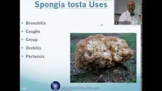 Spongia Tosta Homeopathic Medicine Tips For Beginners [upl. by Maighdiln464]