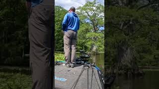 Frog Fishing for Bass on Chickahominy River [upl. by Tiram]