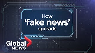 Fake News explained How disinformation spreads [upl. by Nyrrat]