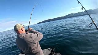 Homer Alaska Fishing 9 1 2024 RockfishGreenlingNew boat record Halibut [upl. by Richma248]