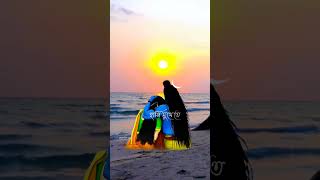 Dujone Nodir Tire Ak Chotto Kutire💖\ দুজনে নদীর তীরে 🏵️Bengali Romantic Song Statusshorts viral [upl. by Elam]