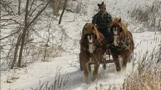 The Modern Horse Loggers of Minnesota [upl. by Guenzi899]