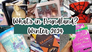 Whats in Poundland  Winter 2024 [upl. by Gerdeen]