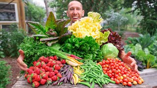 Unbelievable Backyard Garden Harvest This is What I Harvested Today [upl. by Biamonte409]