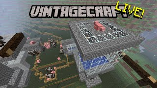 🔴 Vintagecraft LIVE Pig Breeder [upl. by Neirod]