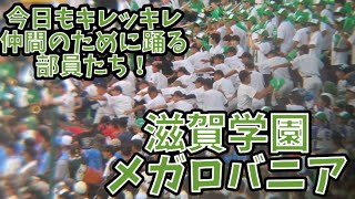 楽しそうに踊る部員たち まさに青春！滋賀学園応援歌 メガロバニアアンダーテール [upl. by Audrye]