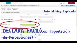 Tutorial declara fácil IGV Renta Sunat 2018 Importación de Percepciones [upl. by Gnehc251]