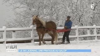 ANIMAUX  Le ski joëring une pratique au galop [upl. by Bolitho]