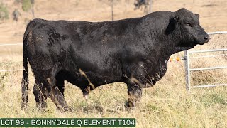 Lot99 Bonnydale Q T104 [upl. by Mccreery]