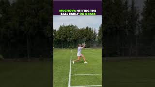 MUCHOVA INSIDE THE BASELINE DRILL tennis shorts [upl. by Burch]