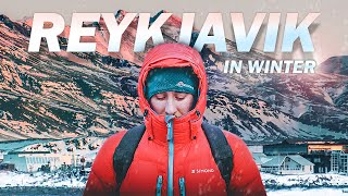 REYKJAVIK ICELAND  FREE THINGS To See  Whale Watching in December Winter Travel [upl. by Nosyaj]