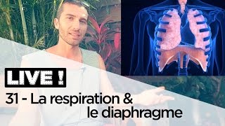 LA RESPIRATION ET LE DIAPHRAGME EXPLIQUÉS EN 10 MINUTES [upl. by Fredelia]