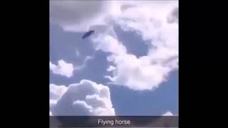 flying horse frightfullyinsane flanchans frightful song [upl. by Raul]