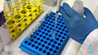 02  DNA Isolation from bacterial culture [upl. by Notse]