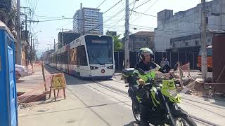 VLT veículo leve sobre trilhos em testes na rua Bittencourt em Santos hoje 011024 vlt [upl. by Cinom]