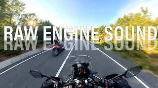 Triumph Tiger 900 GT Pro 24 Raw Engine Sound [upl. by Knutson710]