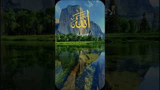 SurahRahman taliwatquran subscribe islamicdaily6 viral part16 unfrezzmyaccount support pge [upl. by Helli]