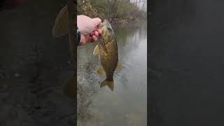 TOPWATER FISHING IN the SNOW FISH FISHING SMALLMOUTHBASS [upl. by Malinowski]