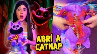 ABRÍ un PELUCHE de CatNap de Poppy Playtime 3💀⛔  Ani Cat😻 [upl. by Convery]