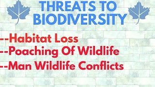 Threats To Biodiversity  Habitat Loss  Poaching Of Wildlife  Man Wildlife Conflicts [upl. by Adolf]