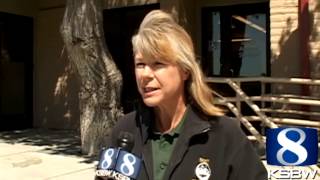 Monterey woman accused of animal hoarding found with cat in trunk [upl. by Ahsiei150]