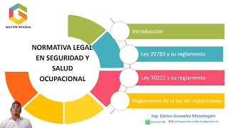 Interpretación e implementación de la Ley N°29783 sus modificatorias y sus reglamentos [upl. by Ayetal401]