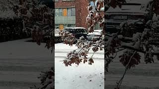 First Snowfall in Rotenburg germany winter schnee expat love weather pakistan music song [upl. by Eliga567]