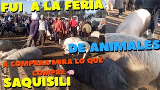 SAQUISILI la feria más barata del Ecuador 🇪🇨 [upl. by Monda]