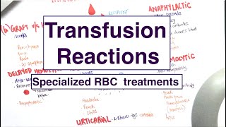 Blood Transfusion Reactions  Specialised RBC treatments  USMLE  MCQs [upl. by Jemine]