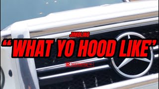 Jim Bling  What Yo Hood Like Official Music Video [upl. by Nomde74]