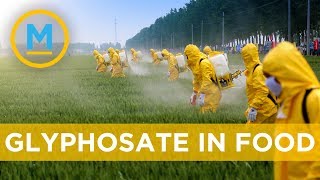 A chemical pesticide has been found in Canadian foods  Your Morning [upl. by Ahsiet137]