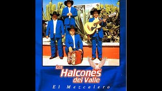 Soy Mezcalero Compita  Los Halcones del Valle [upl. by Nnylylloh]