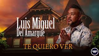 Luis Miguel Del Amargue  Te Quiero Ver [upl. by Ttreve]