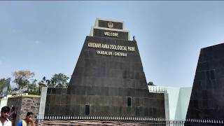 Vandalur Zoo Chennai  Watch LIVE on website Live Streaming available Arignar Anna Zoological Park [upl. by Cusick]