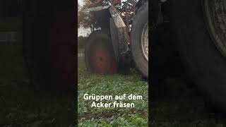 Grüppen vor dem Winter fräsen farming landwirtschaft automobile agriculture machine tractor [upl. by Alimat]