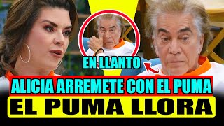 ALICIA MACHADO ARREMTE CONTRA EL PUMA Y EL LLORA  CAPITULO 24 COMPLETO  TOP CHEF VIP 2024 EN VIVO [upl. by Ayhdiv]