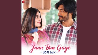 Jaan Ban Gaye  Lofi Mix By DJ Raahul Pai amp Deejay Rax [upl. by Madi967]