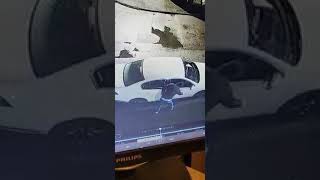 Shit Stain Caught On Cctv Keying Car  Bradford  Killinghall Road [upl. by Haorbed]