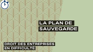 La Plan de Sauvegarde  Droit des entreprises en difficulté [upl. by Ormiston]