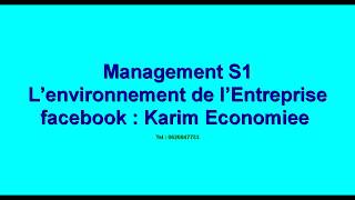 Management S1 quot L’environnement de l’Entreprise quot [upl. by Ardnekahs]