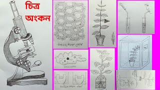 SSC Biology Practical Drawing Class 10  Ssc 2022  জীববিজ্ঞান ব্যবহারিক চিত্র অংকন এসএসসি  ২০২২ [upl. by Kennith]